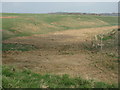 NT3957 : Rushy grassland by the A7 by M J Richardson
