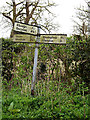 TM4584 : Roadsign on Lower Green by Geographer