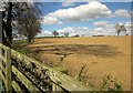 Farmland near Foal Cote