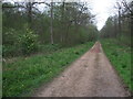 Track, Redlodge Plantation