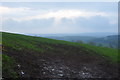 East Devon : Grassy Field