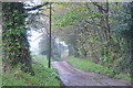 East Devon : Country Lane