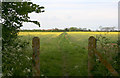 Footpath from Friars Park to Poynters Lane