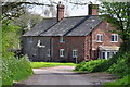 East Devon : Country Lane