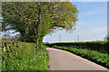 East Devon : Country Lane