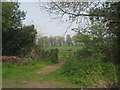 Footpath to Carlton Wood