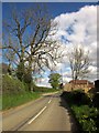 Road at Wallerthwaite