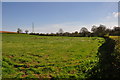 East Devon : Grassy Field