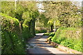 Westwood : Country Lane