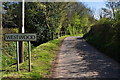 Westwood : Country Lane