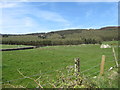 The Camlough Forest Drive from Tamnaghbane Road