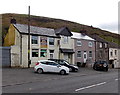 Golden Bauhinia in Gilfach Goch