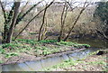 Eyot, River Brent