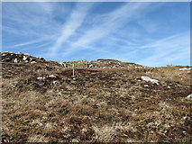 J0425 : Way marker just below the summit of Camlough Mountain by Eric Jones