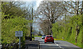 The Woodtown Road, Ballymena (April 2014)