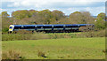 Train and embankment, Ballymena (April 2014)