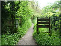 The London LOOP entering Darrick Wood