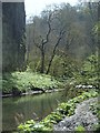 SK1273 : River Wye at Chee Dale by Andrew Hill
