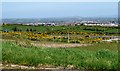 The A1 viewed from Altnaveigh Road