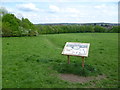 The view from Tubbenden Meadow