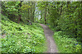 Footpath towards the river