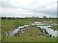 North Cave Wetlands Nature Reserve [1]