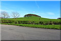 Farmland at Dunjarg Hill