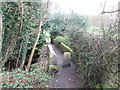 Footbridge over Harden Beck