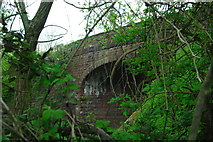 SO7016 : Old railway bridge at Blaisdon by John Winder