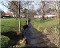 Gnoll Brook, Neath