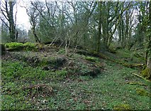 NS3878 : Limestone outcrops in Craigandro Wood by Lairich Rig
