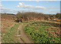 Public footpath in duneland near Newton