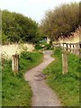 SJ3399 : Footpath on Wabb's Common by Norman Caesar