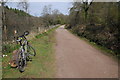 SO6010 : Cycle track near Cannop Ponds by Philip Halling