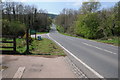 The B4226 passing through the Forest of Dean