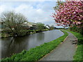 Leeds Liverpool Canal at Hapton