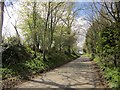 Road from Fountains Abbey