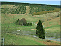 Raecleuch Farm and the A74(M)