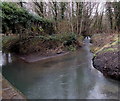 Stream flows into the disused Aberdare Canal in Cwmbach