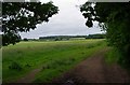 Field adjacent to Hurcott Wood, near Kidderminster