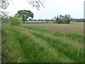 TF6409 : Track near Prior's Lands Farm, Tottenhill by Richard Humphrey