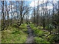 Path to Luss Road