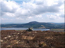 NX5275 : Summit of Low Craignell by Iain Russell