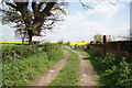 Leeds Country Way at Scholes