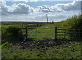 Public bridleway leading to Hose