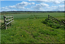 SK7429 : Flat farmland in the Vale of Belvoir by Mat Fascione