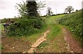 ST1935 : Path near Lower Aisholt by Derek Harper