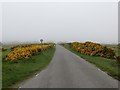 NH7456 : Road, Chanonry Ness by Richard Webb