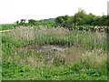 Pond by Church Farm