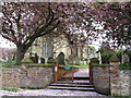 Blossom at Bainton Church Gate